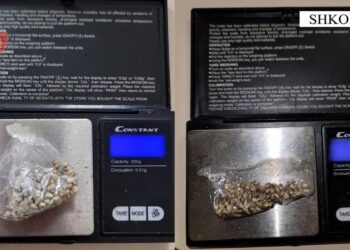 Iu gjetën fara kanabisi, arrestohet 18-vjeçari në Shkodër –