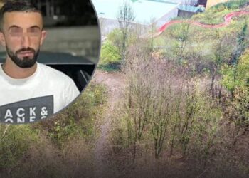 EMRI/ U qëllua me plumb në kokë, zbardhet identiteti i shqiptarit –