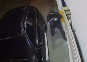 Misteri, kush e donte të vdekur mafiozin grek? Nga mafia greke –