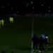 VIDEO/ Fiken dritat në stadium, pezullohet ndeshja e Kupës së Mbretit –