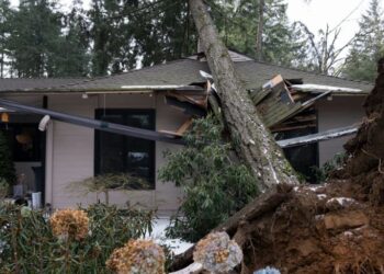 Moti i ashpër në SHBA, të paktën 40 persona kanë humbur jetën –