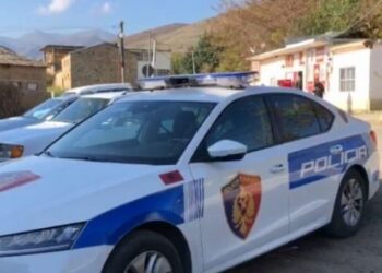 Plagosja në Krujë, identifikohet autori –