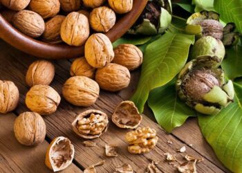 Fruti i preferuar që forcon zemrën, kockat dhe rregullon peshën –