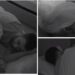 Meritoni “i fut duart” Ilnisës, gazetarja lëshon pasthirrma: Të lutem mos… –