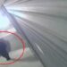 Detaje të reja nga ngjarja në Durrës, dyshohej për tradhti –