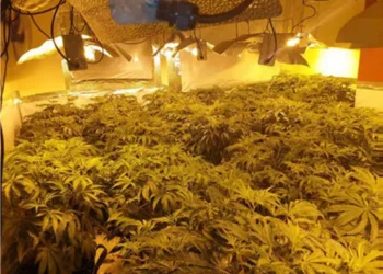 FOTO+EMRI/ U kap në shtëpi bari, 15 muaj burg për shqiptarin –