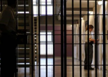 Shqiptari kthen ish-redaksinë e gazetës në shtëpi bari –