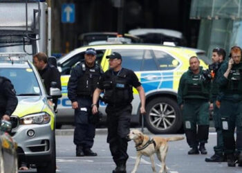 Emri/ I kërkuar nga Italia me 38 akuza, shqiptari kapet në Angli –