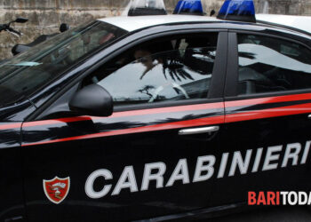 U kap me 5 kg hashash, tentoi të korruptonte edhe policinë, arrestohet shqiptari –