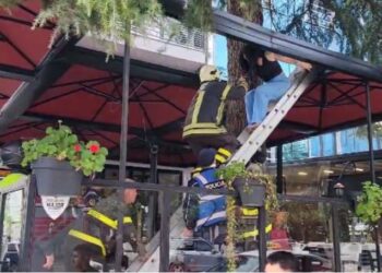 Zbulohet rrjeti i prostitucionit në Durrës, procedohen edhe 4 vajza –