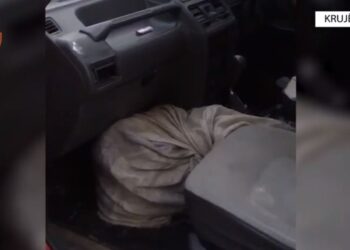 EMRAT/ Po transportonin kanabis, arrestohen dy persona në Krujë –