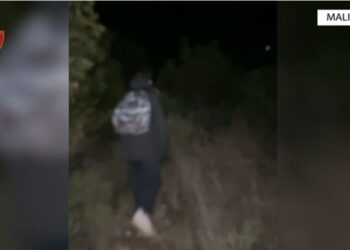 Humb rrugën në malin e Dajtit, gjendet turisti italian –