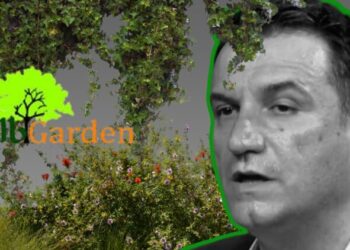 Erion Veliaj “pajtohet” me Pjetër Trashajn, i jep kontratën për shkurre dekorative, 583 MLN lekë me “Flamur të kuq”