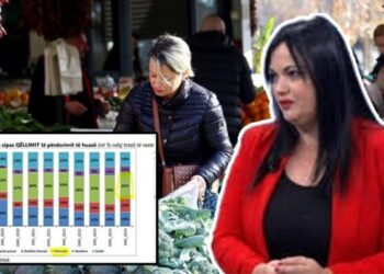 Situata si në mesjetë, 24% e familjeve marrin borxhe për t’u ushqyer/ Ekspertja: Shkak hendeku i të ardhurave me koston e jetesës