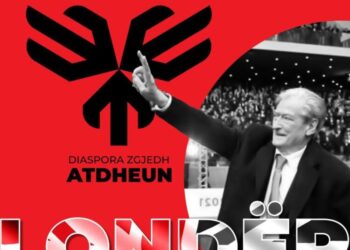“Diaspora zgjedh Atdheun”, PD takim me shqiptarët në Londër