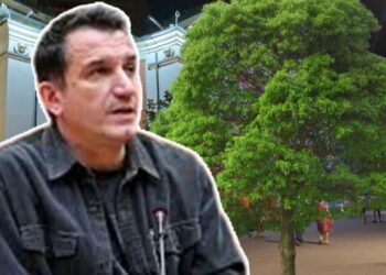 Pasi preu pemët, Veliaj harxhon 33 MLN lekë për mbulimin me mushama, ia jep pa garë Anton Rajtës