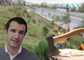 Shfrytëzimi i pyjeve pa kriter, Veliaj jep 300 mln lekë pa garë për prerjen e pemëve