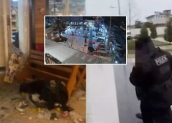 “Porosinë ma dhanë nga burgu”/ Shpërthimi me tritol në Theth, autori në pranga (DETAJE)