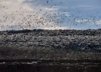 Inceneratori “fantazëm” dhe mali me mbetje në Landfillin e Sharrës
