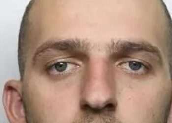 Shqiptari i dënuar për kultivim kanabisi shpëtohet nga e dashura, ja si e bindi gjykatën –