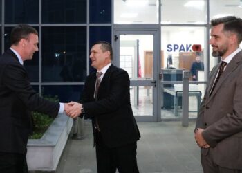 Bashkëpunimi ndërkombëtar kundër krimit –