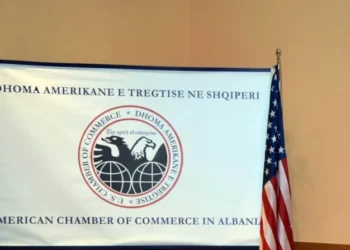 Legalizon kapitalin e dyshimtë –