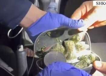 EMRAT/ Arrestohet 2 të rinj në Shkodër, u kapën me drogë gati për shitje –