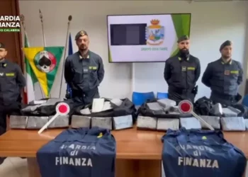 Sekuestrohen 248 kilogramë kokainë në portin Gioia Tauro në Itali, droga kapte vlerën e 40 milion euro –