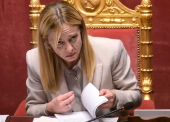 Ishte një vit i vështirë, por viti tjetër do të jetë edhe më keq –