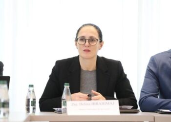 Kodi i Ri Penal synon siguri juridike dhe zhvillim ekonomik –