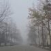 Temperatura deri në -4°C në juglindje, Korça nën ‘pushtetin’ e mjegullës –