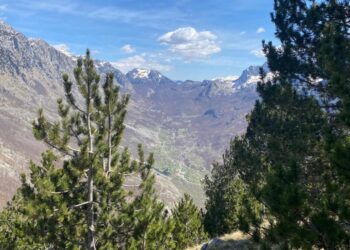 Parashikimi i motit për sot, 16 Dhjetor 2025 –