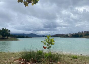 Parashikimi i motit për sot, 23 dhjetor 2025 –