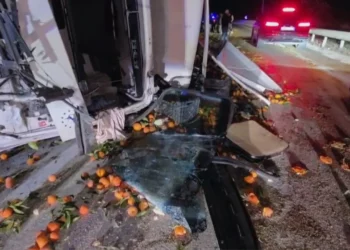 Kamioni me agrume del nga rruga në Levan–Tepelenë, plagoset shoferi –
