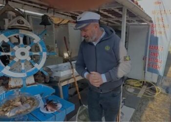 Kapet në ujërat e Gjirit të Vlorës peshku i rrezikshëm –