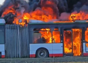 Djegia e 8 autobusëve në Durrës, policia jep detaje mbi ngjarjen –