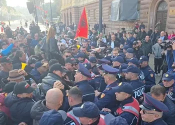 Policia shoqëron aktivistët e Adriatik Lapajt që protestuan para Kryeministrisë (Pamje) –