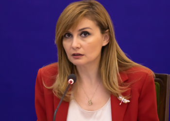 Shqiptarët janë drejtuar nga zv.kryeministri në hije, Ergys Agasi –