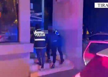 (VIDEO) Fresku/ Sherri në TikTok përfundon me dhunë, arrestohet i dënuari italian –