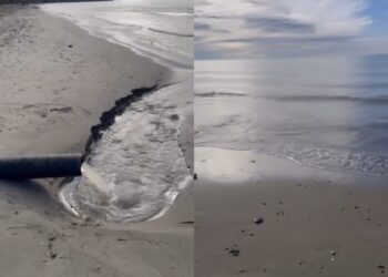 Ujërat e zeza derdhen direkt në det, pranë pushuesve –