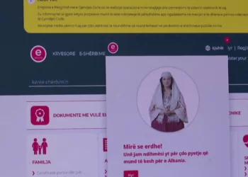 E-Albania vazhdon në kolaps total/ Prej ditësh bizneset dhe individët nuk mundet të kryejnë procedurat –