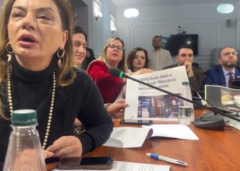 Do ndëshkojmë vetëm 10 ligjvënës (Emrat) –