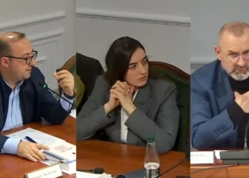 “Duhet të kalosh testin neuro-psikiatrik” – Zegjineja përplaset me Korreshin, Manja i tërheq vëmendjen –