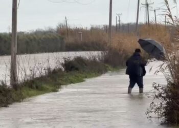 Lumi Shkumbin del nga shtrati, rreth 20 banesa të përmbytura në Lushnje, përmbytje nga Semani në Fier –