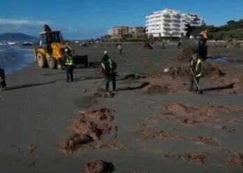 Aksion në bregdet/ Vlora përmbytet, Kryeministri Rama kreh plazhin –