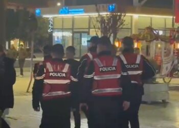 Policia ndalon një person në qendër të Fierit dhe shoqërohet me furgonin e Forcave ‘Shqiponja –
