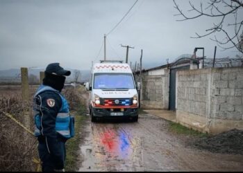 “Nuk e kam njohur më parë Pavlin Prekën”, 13-vjeçarja dëshmon pas vrasjes së të riut –