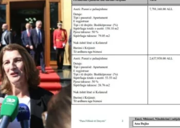 Deputetja milionere e “Shqipëria Bëhet”, zbardhet pasuria dhe llogaritë bankare të Ana Dajkos –