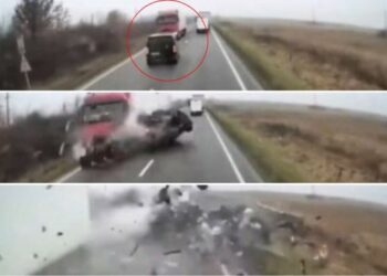 mes 7 viktimave, dy tifozë shqiptarë të PAOK –