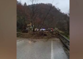 Shembet masivi i dheut, bllokohet aksi Tepelenë–Gjirokastër (VIDEO) –